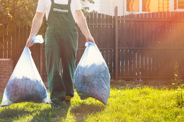 Attic Cleanout Services in Rock Rapids, IA