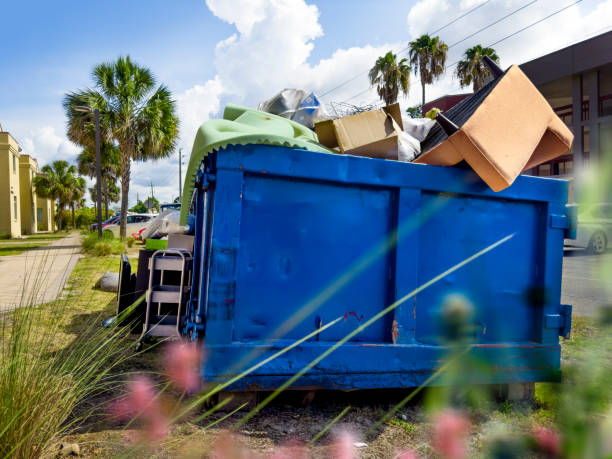 Best Basement Cleanout Services  in Rock Rapids, IA