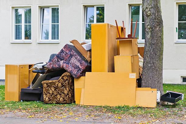 Best Professional Junk Removal  in Rock Rapids, IA